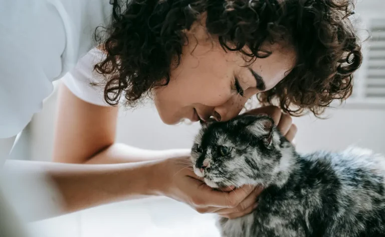 Vivre en Harmonie avec votre Chat